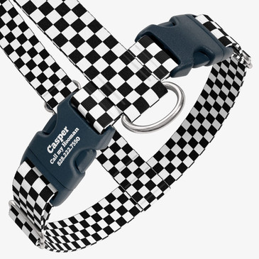 closeup view of harness with personalized buckle